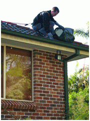 Manly Gutter Cleaner On Roof