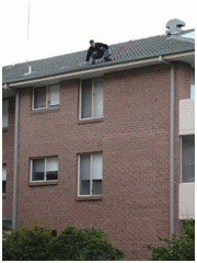 Gutter Maintenance On Roof